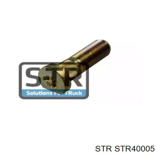 Tornillo de rueda 1303112010 SAF