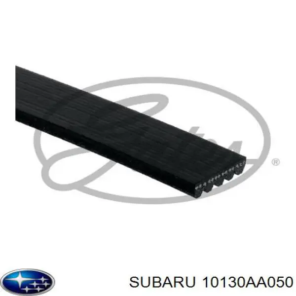 10130AA050 Subaru Correa poly v