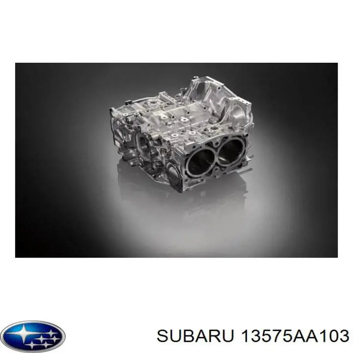 13575AA103 Subaru tapa de correa de distribución interior izquierda
