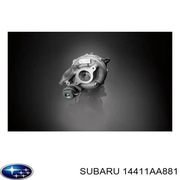 8143065007S Garrett Turbo para motor