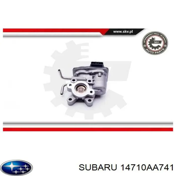 Comprar 12101068 Depo/Loro/Abakus Válvula EGR