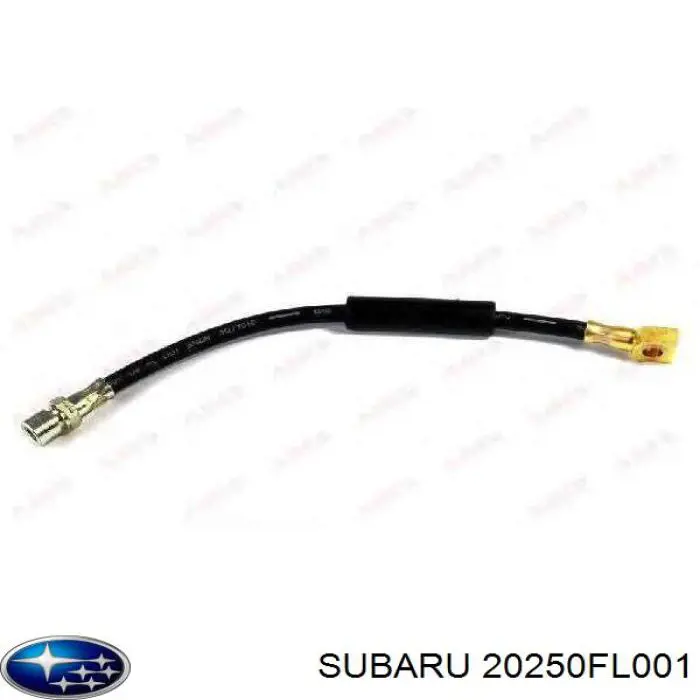 20250FL001 Subaru palanca de soporte suspension trasera longitudinal inferior izquierda/derecha