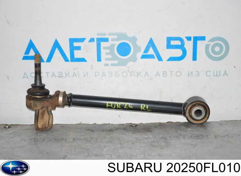 Barra transversal reactiva de la suspensión trasera Subaru 20250FL010 precio, desde 45,97 EUR
