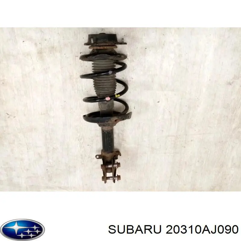 Amortiguador delantero izquierdo Subaru 20310AJ090 precio, desde 57,66 EUR