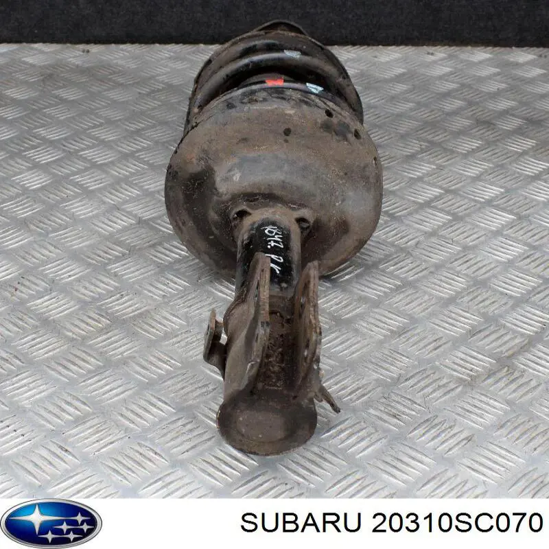 Amortiguador eje delantero izquierda Subaru 20310SC070