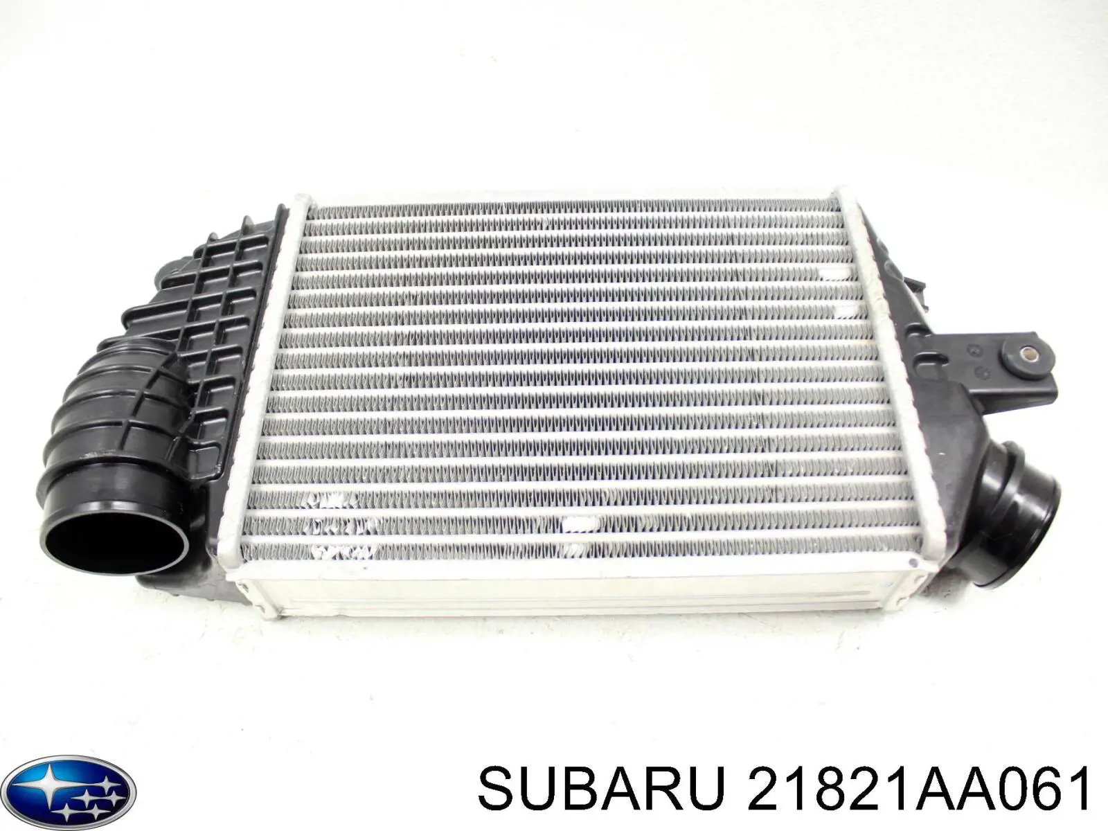 21821AA061 Subaru