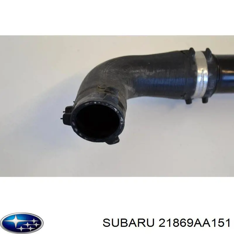 Tubo intercooler 21869AA151 Subaru