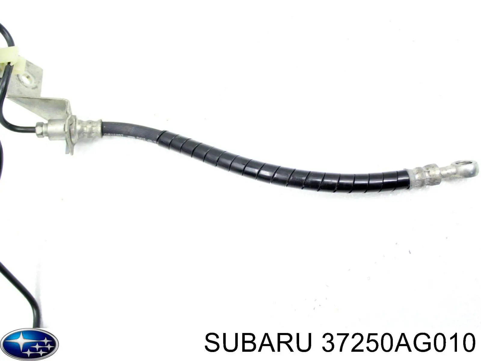  Subaru 37250AG010 precio, desde 12,07 EUR
