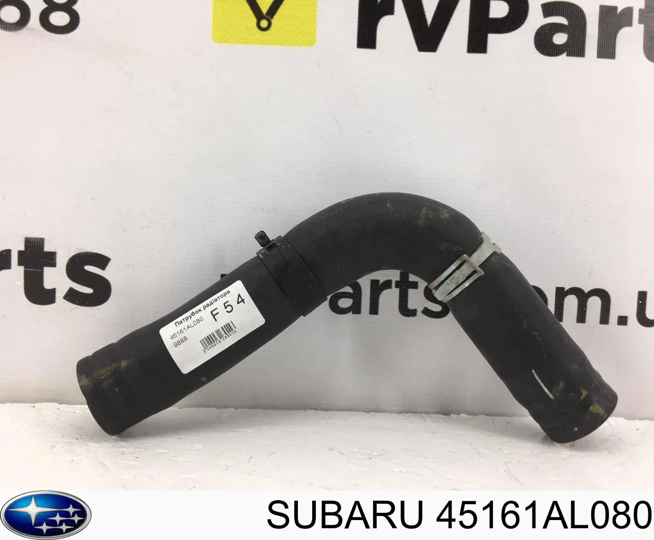 45161AL080 Subaru manguera refrigerante para radiador inferiora