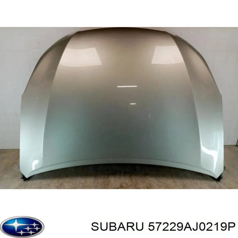 57229AJ0219P Subaru Capó delantero