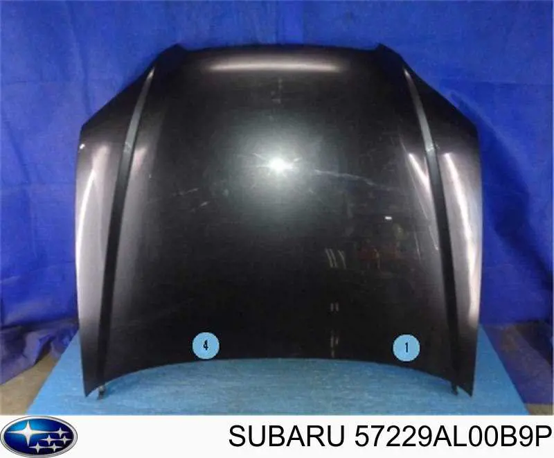57229AL00B9P Subaru capó
