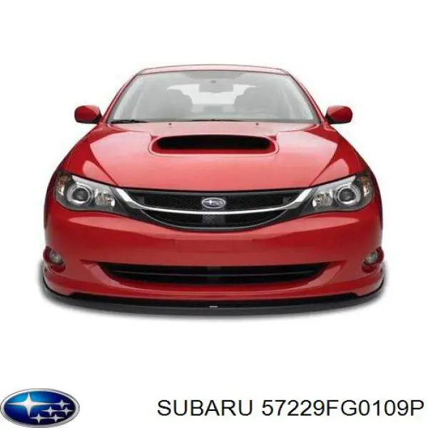 Capó del motor Subaru 57229FG0109P precio, desde 232,72 EUR