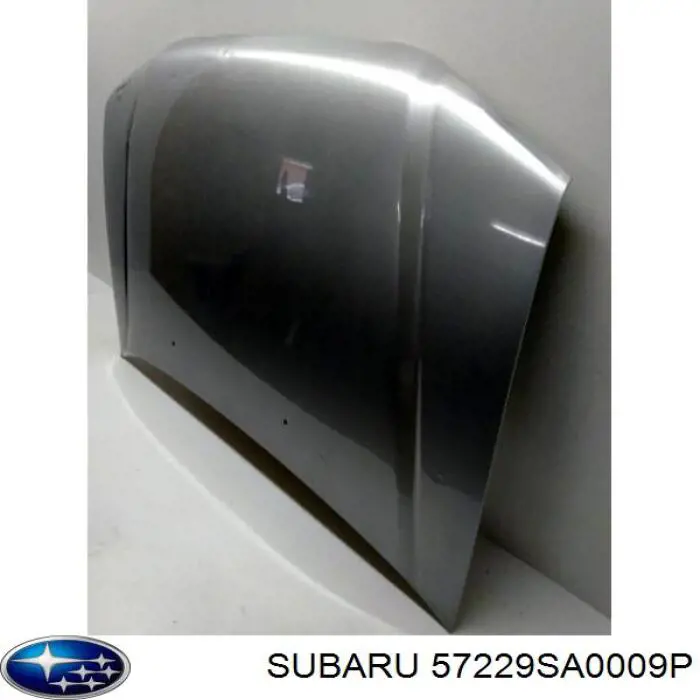 Capó del motor Subaru 57229SA0009P precio, desde 235,22 EUR