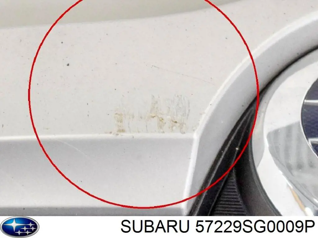 57229SG0009P Subaru Capó delantero
