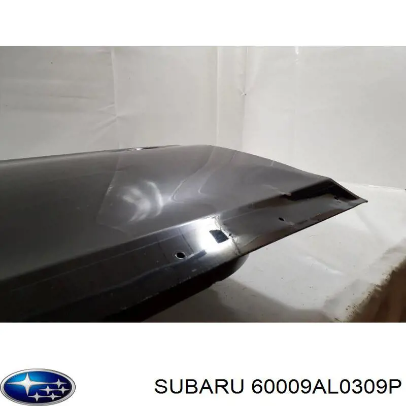 Comprar 60009AL0309P Subaru 