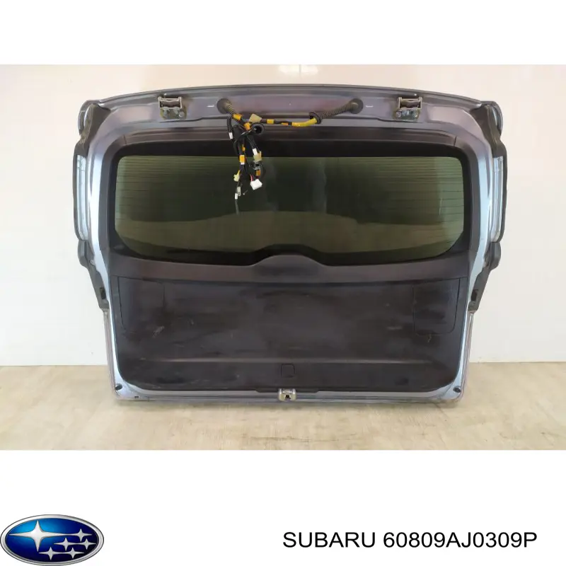 Puerta trasera 60809AJ0309P Subaru