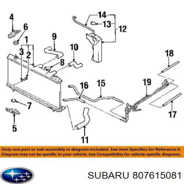 Comprar 807615081 Subaru Manguera de impulsión de la bomba de agua
