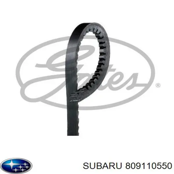 Correa de alternador 809110550 Subaru