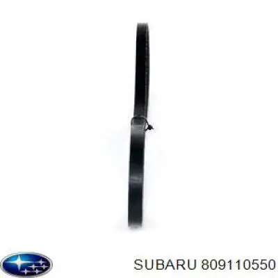 Correa de transmisión trapezoidal Subaru 809110550 precio, desde 8,02 EUR