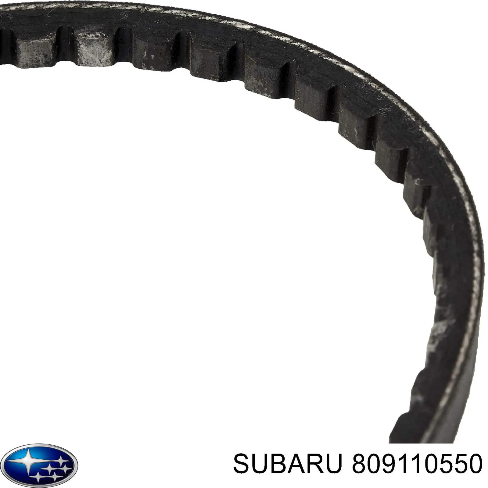 809110550 Subaru Correa poly v