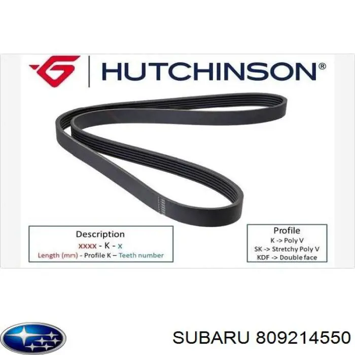 Correa de transmisión trapezoidal Subaru 809214550 precio, desde 5,54 EUR