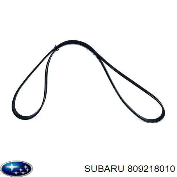 809218010 Subaru correa trapezoidal
