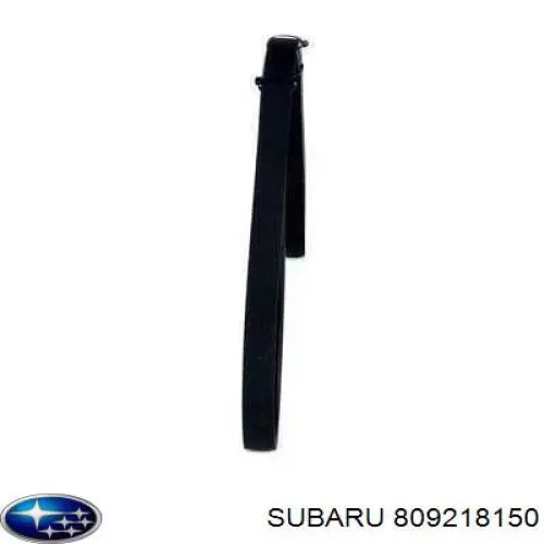 809218150 Subaru correa trapezoidal
