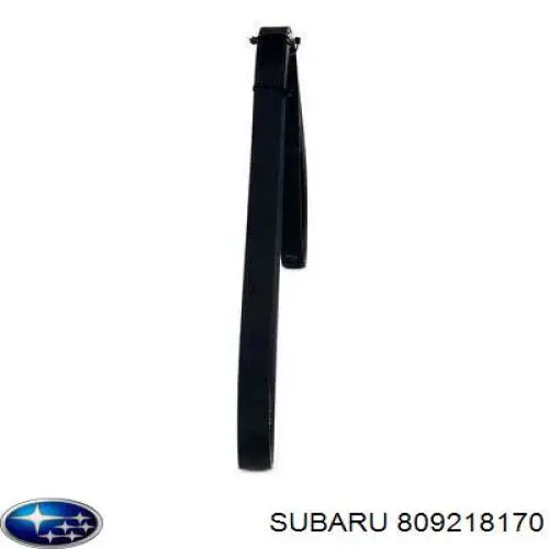 Correa de alternador 809218170 Subaru