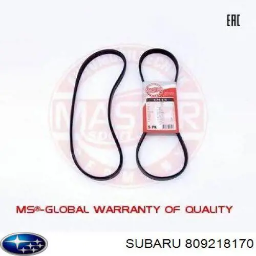 Correa de transmisión trapezoidal Subaru 809218170 precio, desde 6,72 EUR