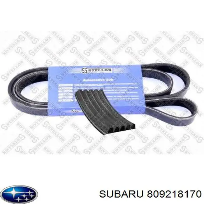 Comprar 809218170 Subaru Correa trapezoidal