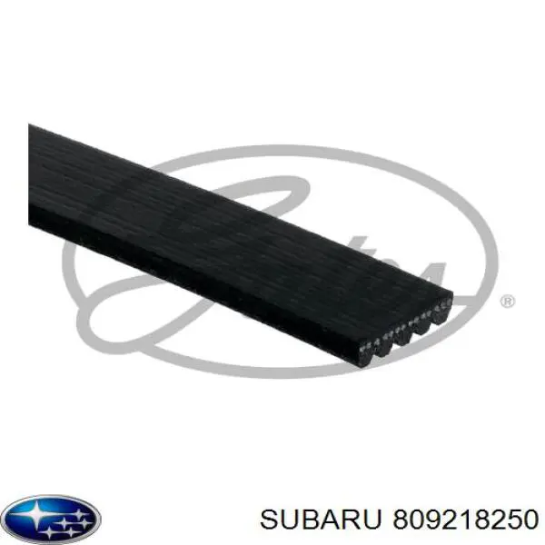Correa de alternador 809218250 Subaru