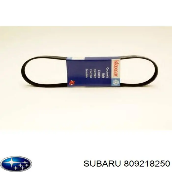 809218250 Subaru correa trapezoidal