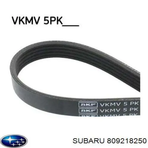 Correa de transmisión trapezoidal Subaru 809218250 precio, desde 7,05 EUR