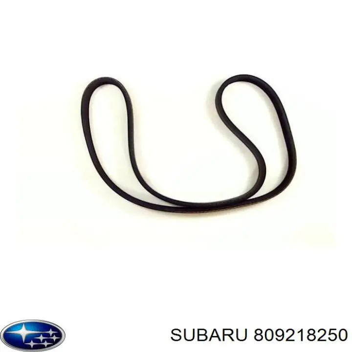 Comprar 809218250 Subaru Correa trapezoidal