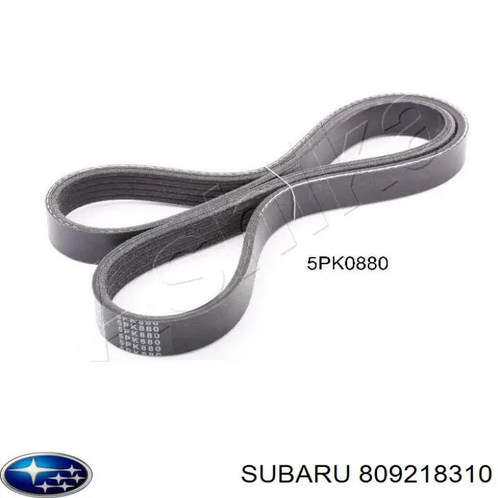 809218310 Subaru correa trapezoidal
