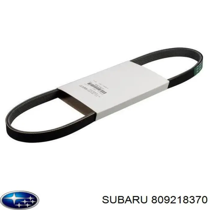 Correa poly v para Subaru Outback III B13, BP