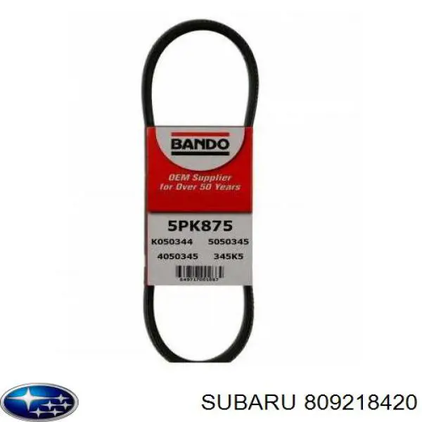 Comprar 809218420 Subaru Correa trapezoidal