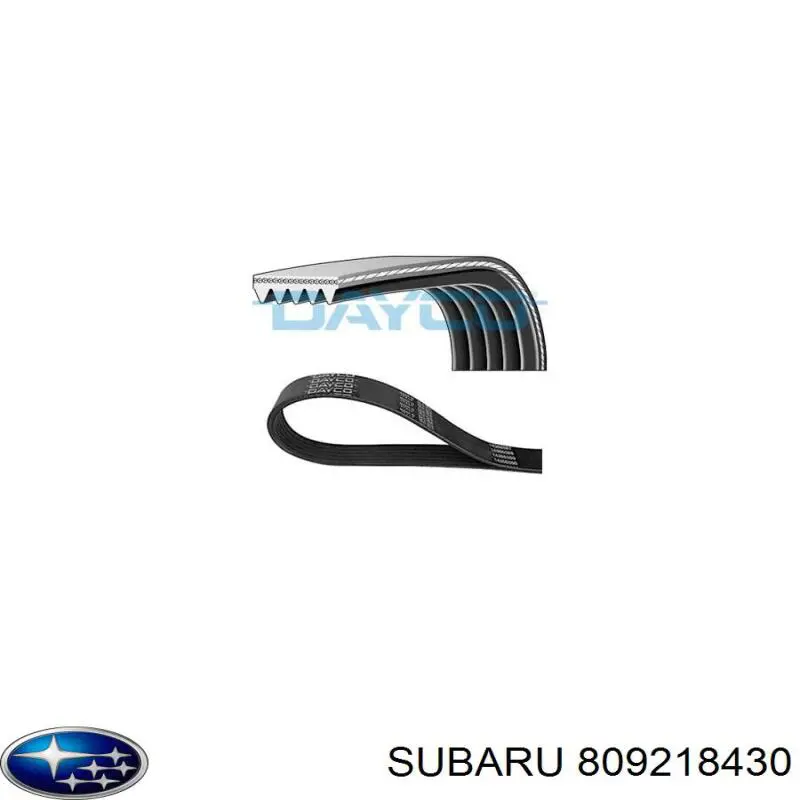 Comprar 809218430 Subaru Correa trapezoidal