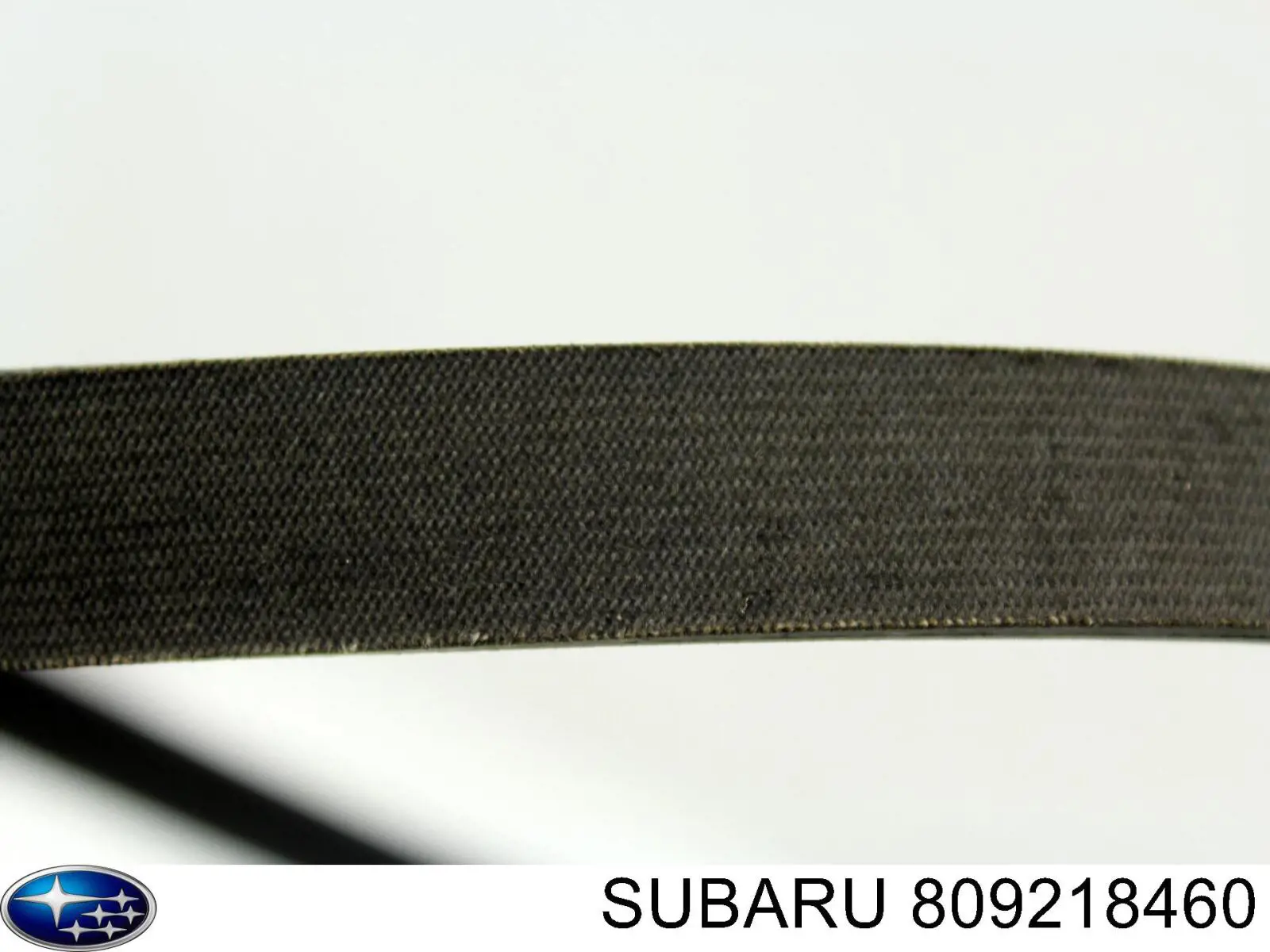 809218460 Subaru correa trapezoidal