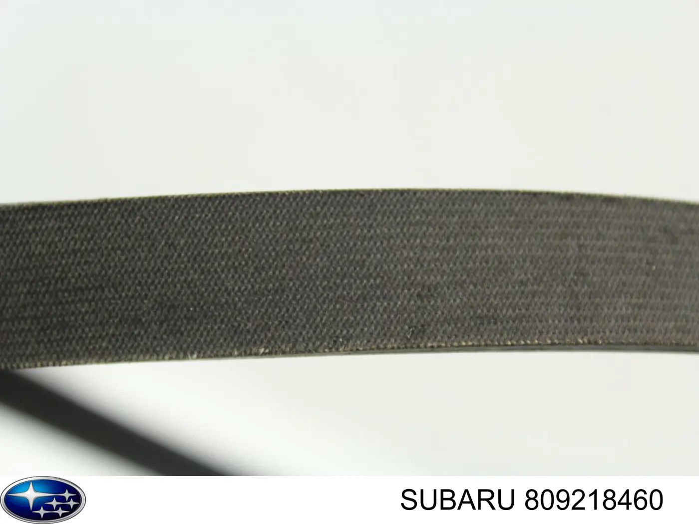 Correa de transmisión trapezoidal Subaru 809218460 precio, desde 7,94 EUR