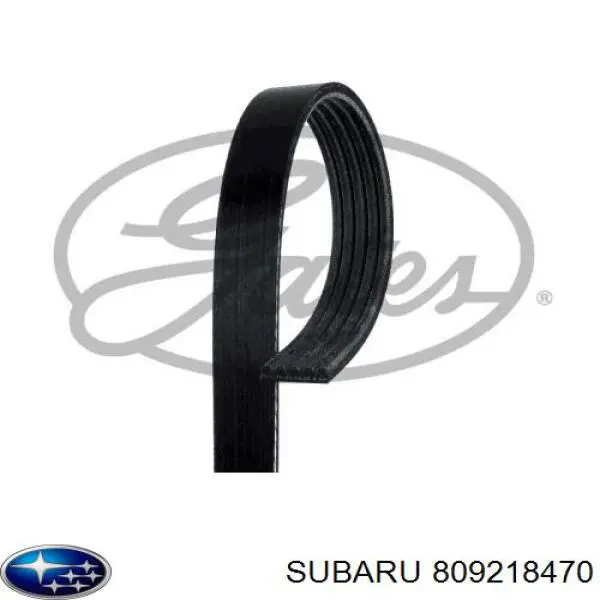 Comprar 809218470 Subaru Correa trapezoidal