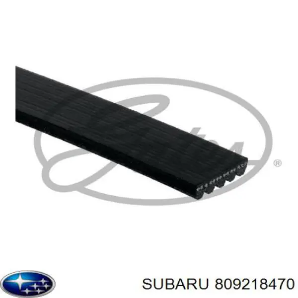 Correa de alternador 809218470 Subaru