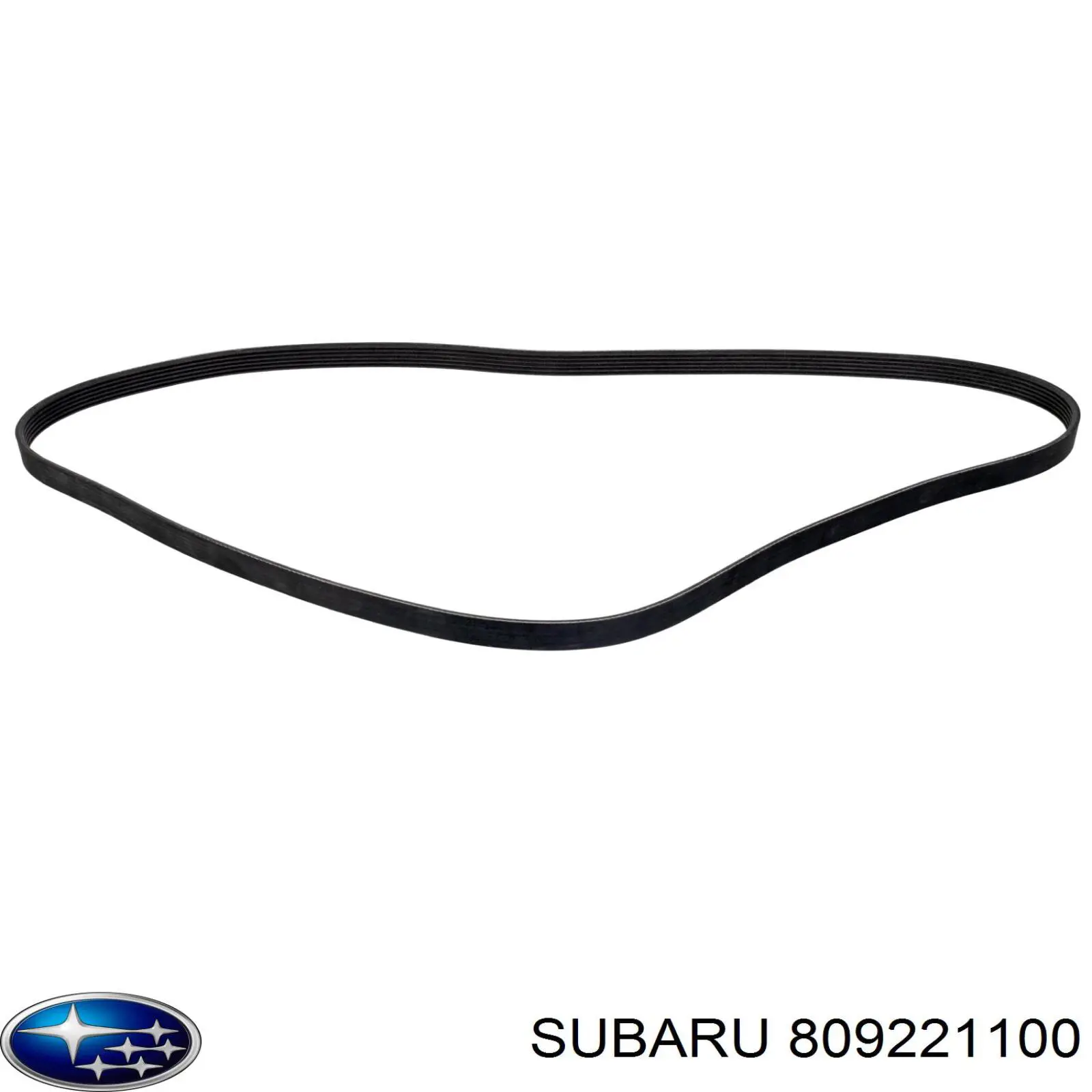 809221100 Subaru correa trapezoidal