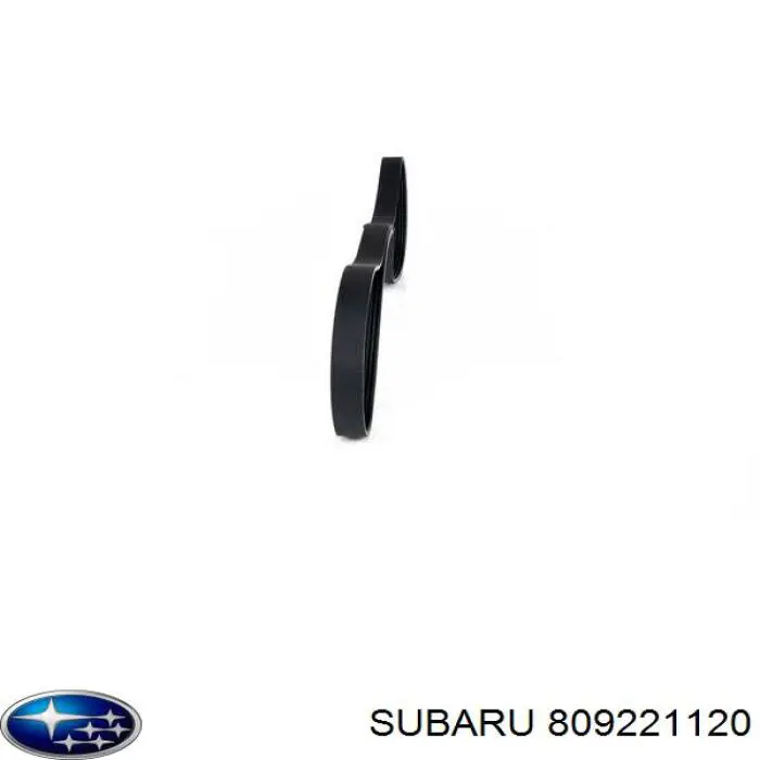 Correa de transmisión trapezoidal Subaru 809221120 precio, desde 9,57 EUR