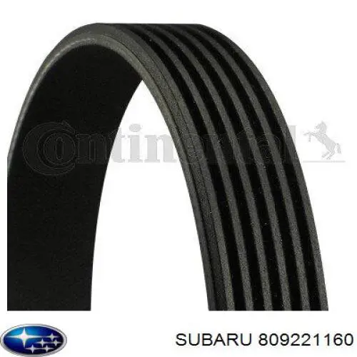 Comprar 4627818AA Chrysler Correa trapezoidal