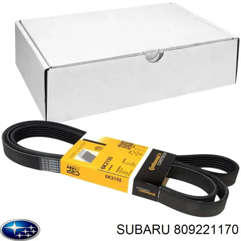 809221170 Subaru Correa poly v