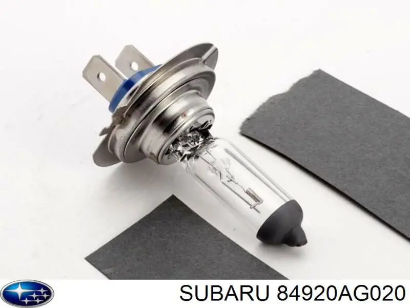 Lámpara halógena Subaru 84920AG020 precio, desde 10,89 EUR