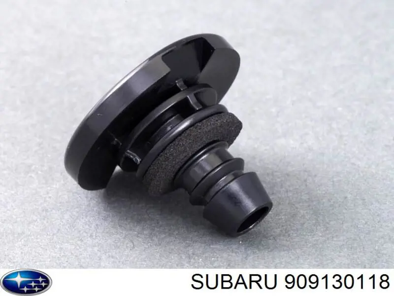 909130118 Subaru