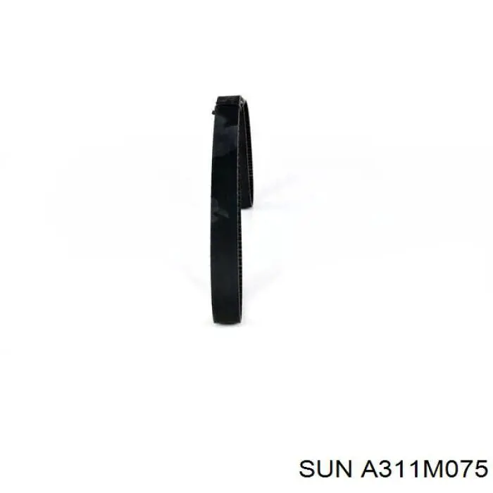 A311M075 SUN Correa del eje de equilibrado