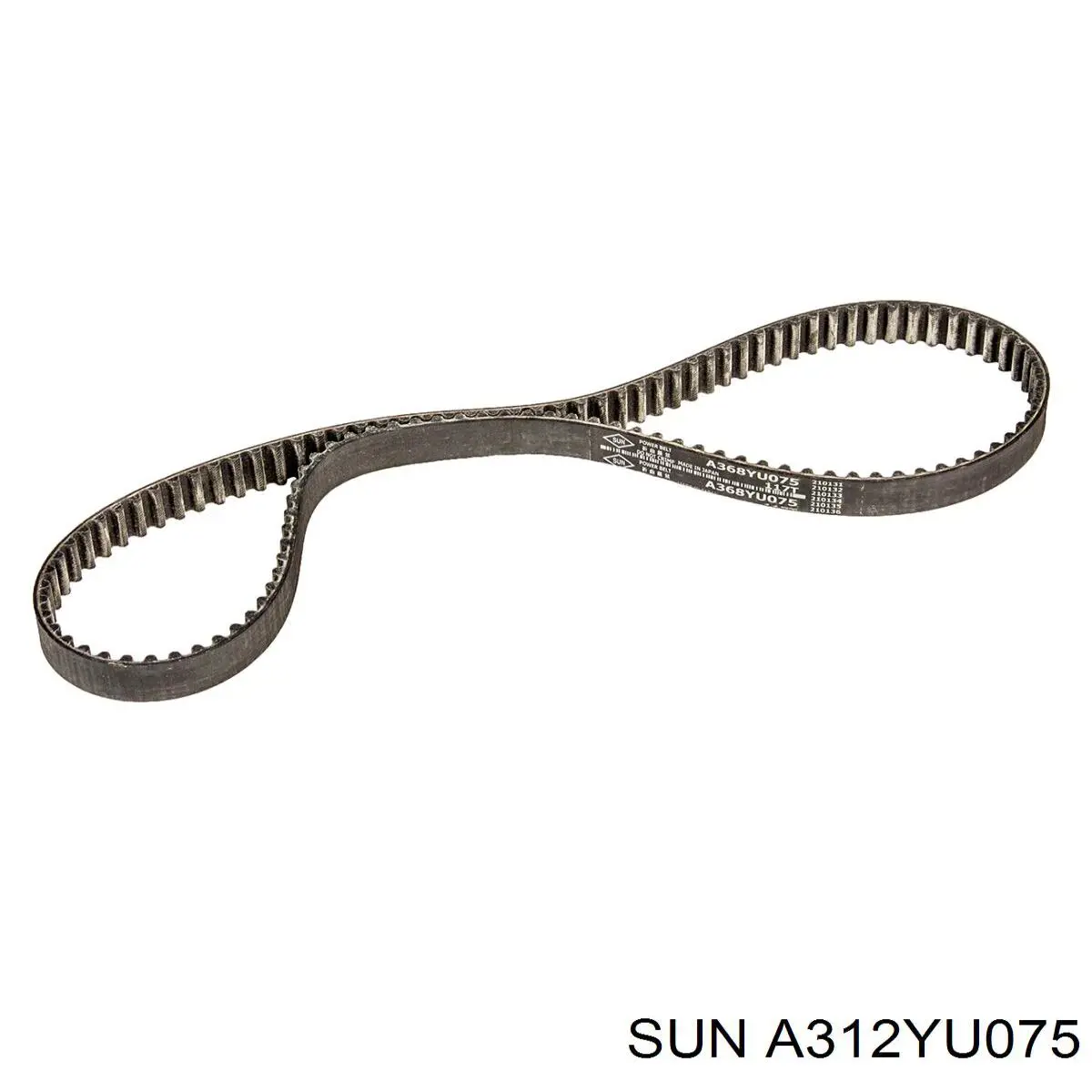 Correa del eje de equilibrado A312YU075 SUN